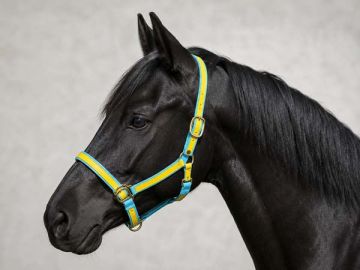 Full Size Striped Brass BioThane® Headstalls